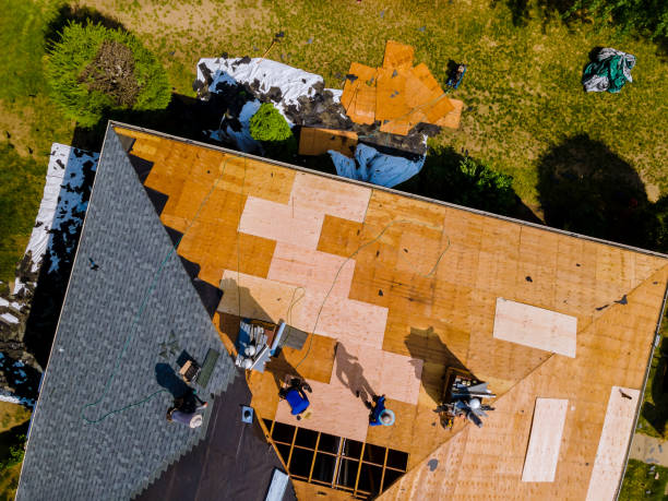 Best Roof Gutter Cleaning  in Lansing, MI