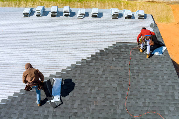 Best Metal Roofing Contractor  in Lansing, MI