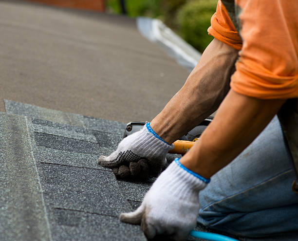 Best New Roof Installation  in Lansing, MI
