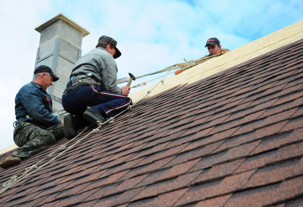 Best Roof Waterproofing Services  in Lansing, MI