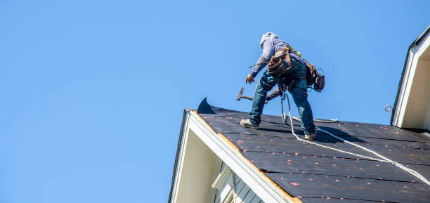 Best Metal Roofing Contractor  in Lansing, MI